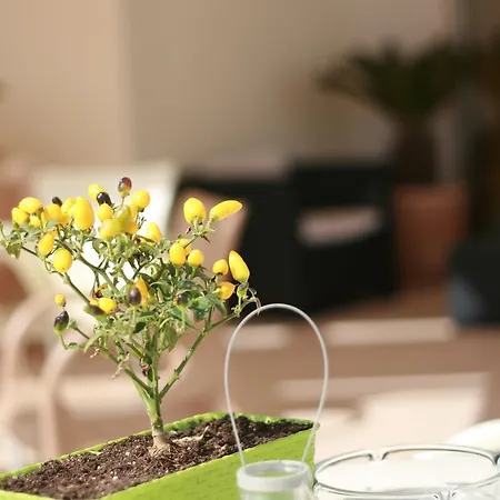 Sole Ξενοδοχείο